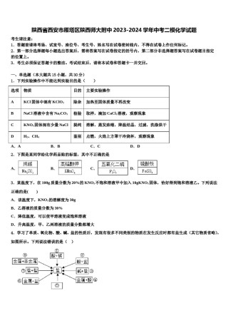 陕西省西安市雁塔区陕西师大附中2023-2024学年中考二模化学试题含解析.doc