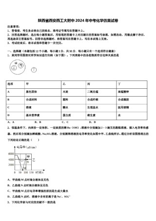陕西省西安西工大附中2024年中考化学仿真试卷含解析.doc