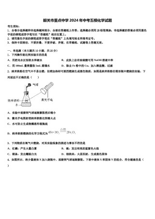 韶关市重点中学2024年中考五模化学试题含解析.doc