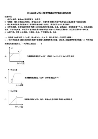 驻马店市2024年中考适应性考试化学试题含解析.doc