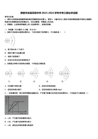 鹤壁市浚县实验中学2023-2024学年中考三模化学试题含解析.doc