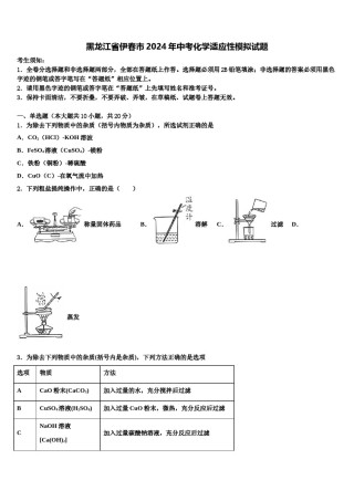 黑龙江省伊春市2024年中考化学适应性模拟试题含解析.doc