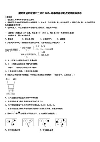 黑龙江省哈尔滨市五常市2024年中考化学对点突破模拟试卷含解析.doc