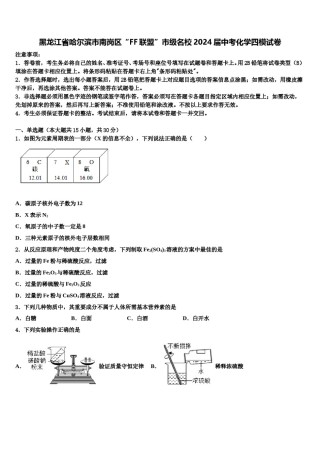 黑龙江省哈尔滨市南岗区“FF联盟”市级名校2024届中考化学四模试卷含解析.doc