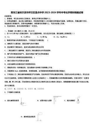 黑龙江省哈尔滨市呼兰区重点中学2023-2024学年中考化学模拟精编试卷含解析.doc
