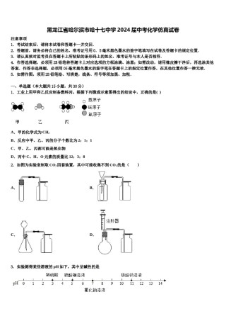 黑龙江省哈尔滨市哈十七中学2024届中考化学仿真试卷含解析.doc