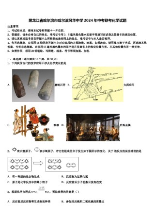 黑龙江省哈尔滨市哈尔滨风华中学2024年中考联考化学试题含解析.doc