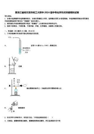 黑龙江省哈尔滨市哈工大附中2024届中考化学对点突破模拟试卷含解析.doc