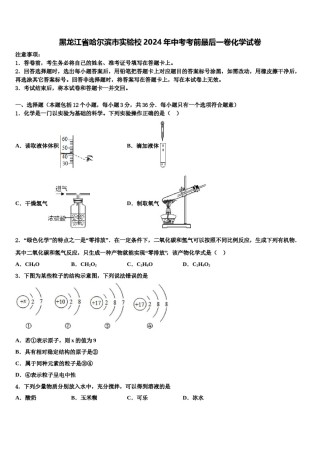 黑龙江省哈尔滨市实验校2024年中考考前最后一卷化学试卷含解析.doc