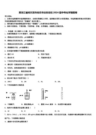 黑龙江省哈尔滨市尚志市达标名校2024届中考化学猜题卷含解析.doc
