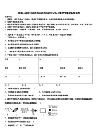 黑龙江省哈尔滨市尚志市达标名校2024年中考化学五模试卷含解析.doc
