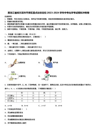 黑龙江省哈尔滨市平房区重点达标名校2023-2024学年中考化学考试模拟冲刺卷含解析.doc