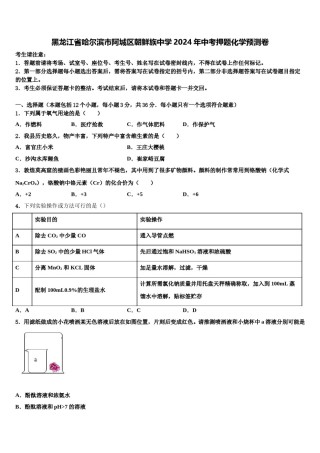 黑龙江省哈尔滨市阿城区朝鲜族中学2024年中考押题化学预测卷含解析.doc