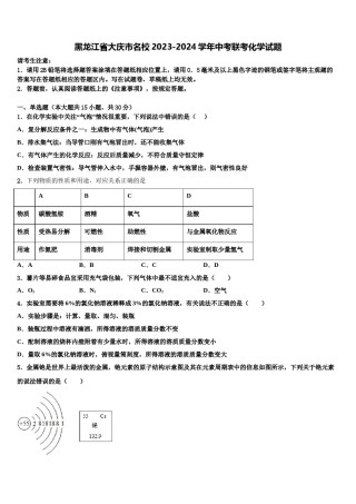 黑龙江省大庆市名校2023-2024学年中考联考化学试题含解析.doc