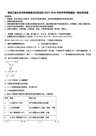黑龙江省大庆市林甸县重点达标名校2023-2024学年中考考前最后一卷化学试卷含解析.doc