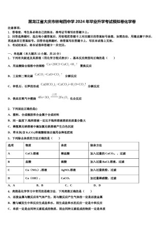 黑龙江省大庆市林甸四中学2024年毕业升学考试模拟卷化学卷含解析.doc