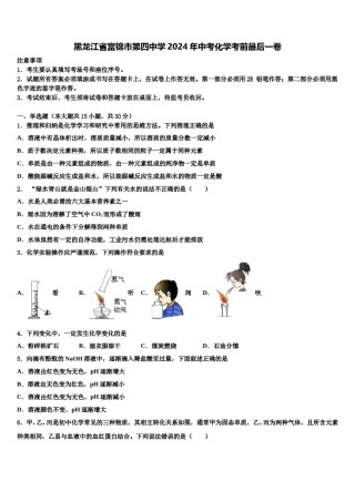 黑龙江省富锦市第四中学2024年中考化学考前最后一卷含解析.doc
