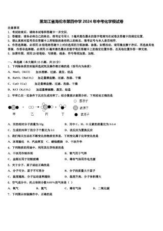 黑龙江省海伦市第四中学2024年中考化学模试卷含解析.doc