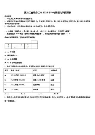 黑龙江省牡丹江市2024年中考押题化学预测卷含解析.doc