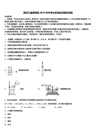 黑龙江省绥棱县2024年中考化学适应性模拟试题含解析.doc
