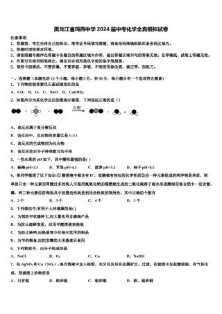黑龙江省鸡西中学2024届中考化学全真模拟试卷含解析.doc