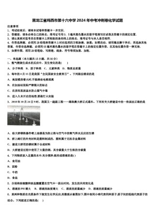 黑龙江省鸡西市第十六中学2024年中考冲刺卷化学试题含解析.doc