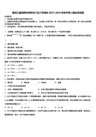 黑龙江省鸡西市虎林市八五八农场校2023-2024学年中考二模化学试题含解析.doc
