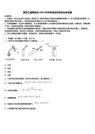黑龙江省鹤岗市2024年中考适应性考试化学试题含解析.doc