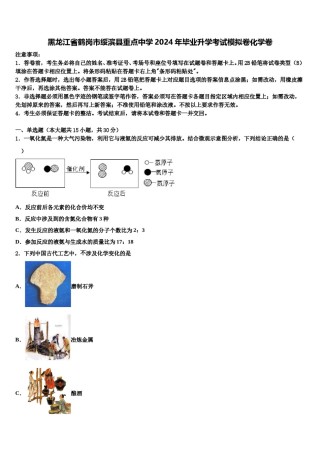 黑龙江省鹤岗市绥滨县重点中学2024年毕业升学考试模拟卷化学卷含解析.doc