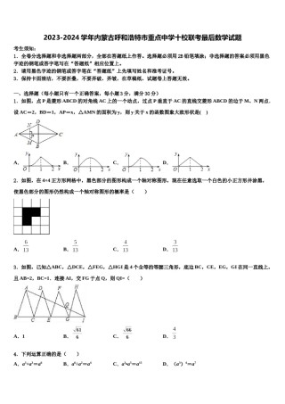 2023-2024学年内蒙古呼和浩特市重点中学十校联考最后数学试题含解析.doc