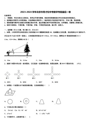 2023-2024学年北京市育才校中考数学考前最后一卷含解析.doc