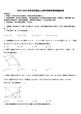 2023-2024学年北京海淀人大附中考数学模拟精编试卷含解析.doc