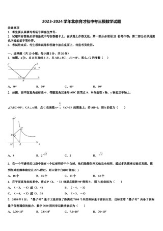 2023-2024学年北京育才校中考三模数学试题含解析.doc