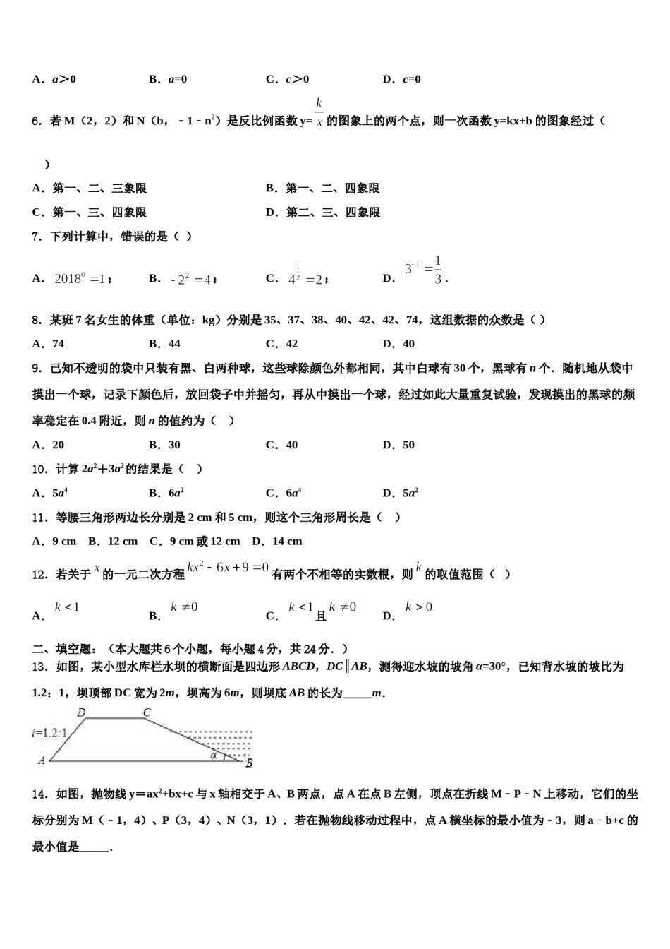 2023-2024学年吉林省大安县联考中考试题猜想数学试卷含解析.doc_第2页