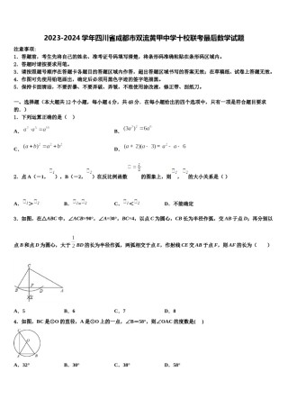 2023-2024学年四川省成都市双流黄甲中学十校联考最后数学试题含解析.doc
