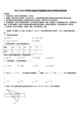2023-2024学年四川省自贡市富顺重点名校中考数学仿真试卷含解析.doc