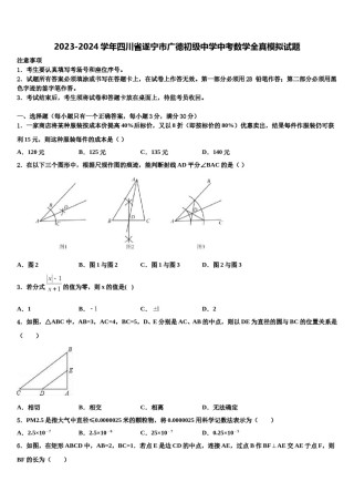 2023-2024学年四川省遂宁市广德初级中学中考数学全真模拟试题含解析.doc