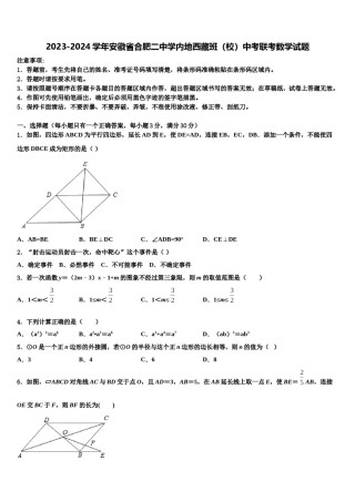 2023-2024学年安徽省合肥二中学内地西藏班（校）中考联考数学试题含解析.doc