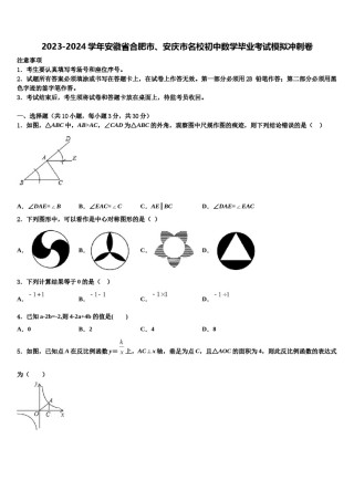 2023-2024学年安徽省合肥市、安庆市名校初中数学毕业考试模拟冲刺卷含解析.doc