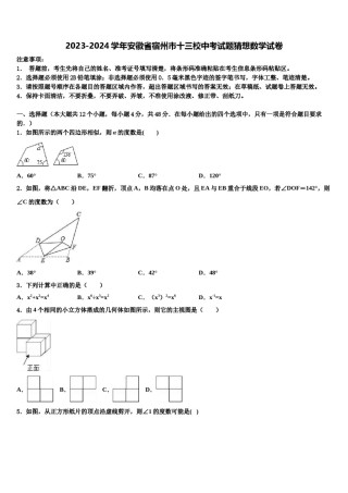 2023-2024学年安徽省宿州市十三校中考试题猜想数学试卷含解析.doc