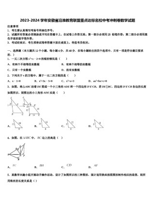 2023-2024学年安徽省沿淮教育联盟重点达标名校中考冲刺卷数学试题含解析.doc