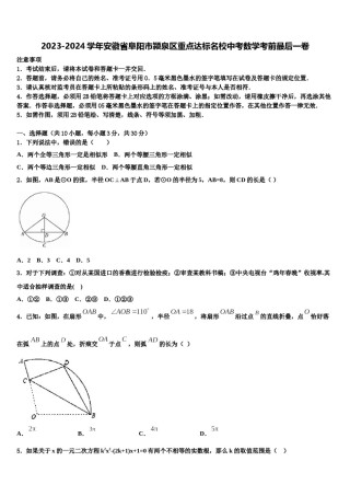 2023-2024学年安徽省阜阳市颍泉区重点达标名校中考数学考前最后一卷含解析.doc