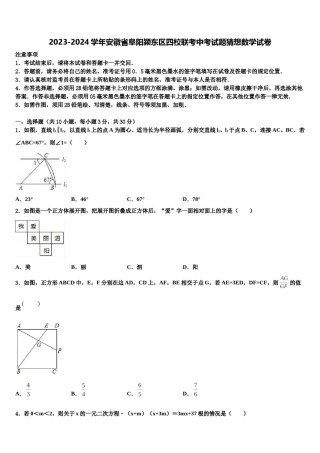 2023-2024学年安徽省阜阳颍东区四校联考中考试题猜想数学试卷含解析.doc