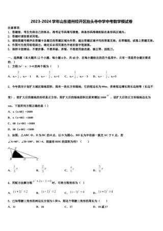 2023-2024学年山东德州经开区抬头寺中学中考数学模试卷含解析.doc
