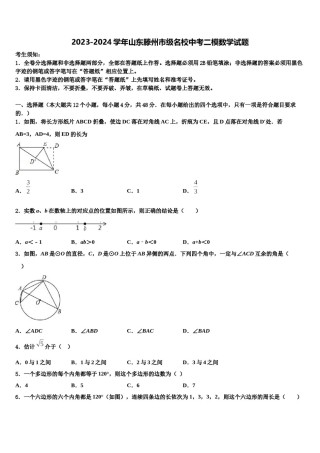 2023-2024学年山东滕州市级名校中考二模数学试题含解析.doc