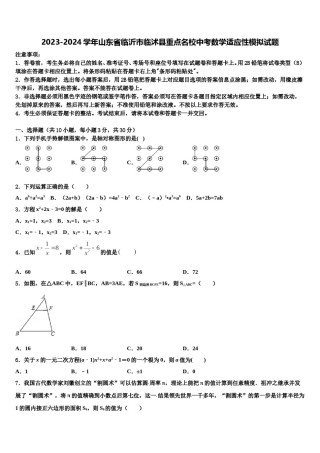 2023-2024学年山东省临沂市临沭县重点名校中考数学适应性模拟试题含解析.doc