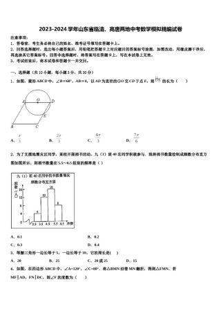 2023-2024学年山东省临清、高唐两地中考数学模拟精编试卷含解析.doc