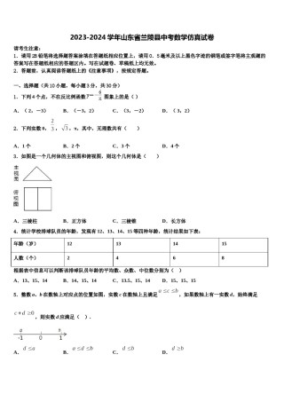 2023-2024学年山东省兰陵县中考数学仿真试卷含解析.doc