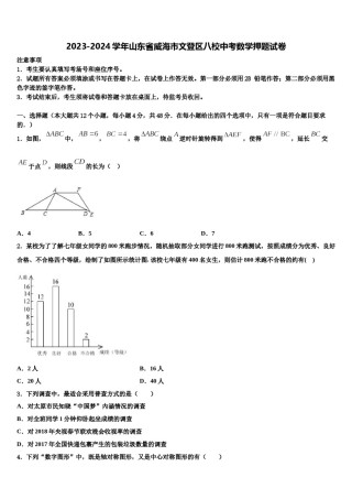 2023-2024学年山东省威海市文登区八校中考数学押题试卷含解析.doc