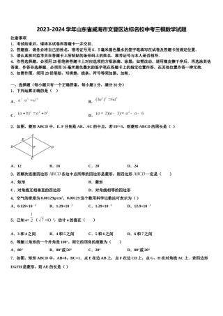 2023-2024学年山东省威海市文登区达标名校中考三模数学试题含解析.doc